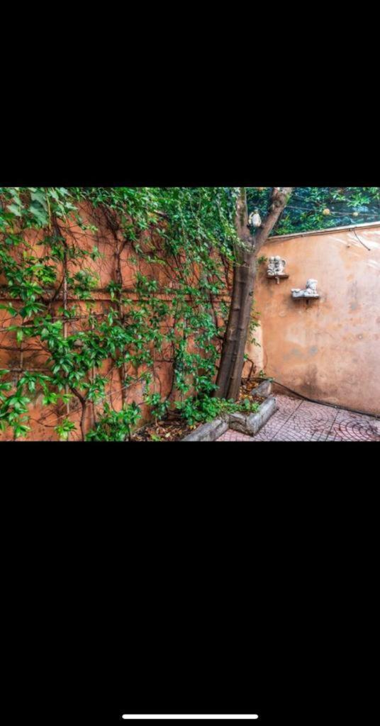 רומא Olimpico'S Apartment מראה חיצוני תמונה